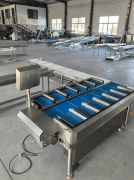 <strong>公司参取的智能化分选环节手艺项目</strong>&hellip;